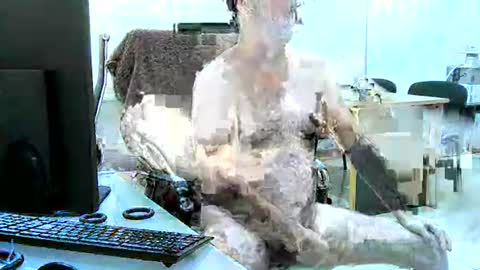 region4 online show from 19, 4, 2026