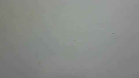 Snapshot of rellings_maya chatting on 26, 12, 2024 rellings-maya online show from 26, 12, 2024