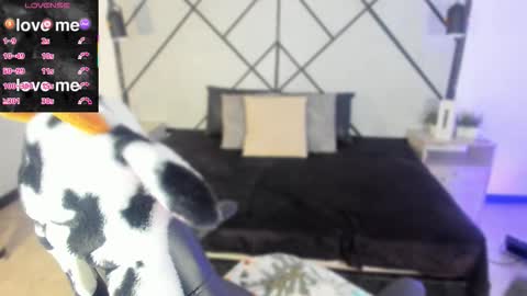 Reven  online show from 17, 11, 2025