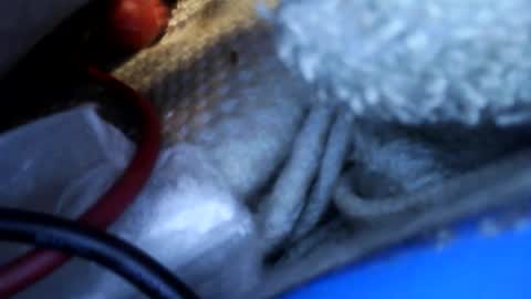 rgglen986 online show from 14, 2, 2026