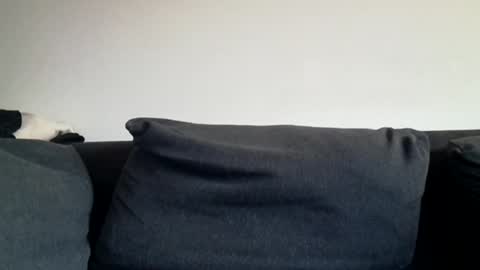 Snapshot of rhymes2479 chatting on 31, 3, 2026 Shaved cock ready online show from 31, 3, 2026