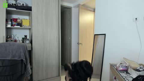 RickyDicot 13 online show from 27, 9, 2025