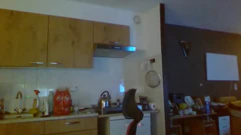 rikkerd55 online show from 5, 1, 2026