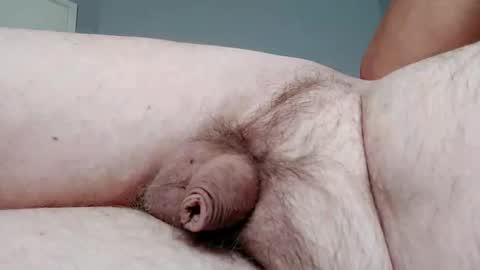 ripa35 online show from 17, 2, 2025