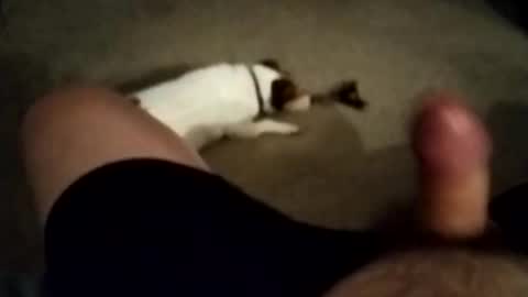 Snapshot of robbiebob6828 chatting on 27, 11, 2025 robbiebob6828 online show from 27, 11, 2025