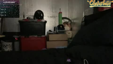 Robert Cici Jr. online show from 13, 12, 2024