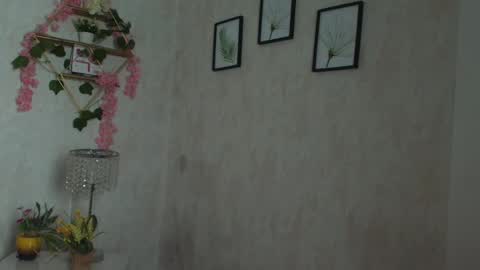 robin D online show from 2, 2, 2026