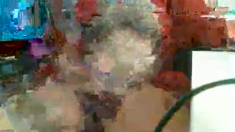 Snapshot of rocco1962 chatting on 11, 2, 2026 Rocco aka DaddyRoc online show from 11, 2, 2026