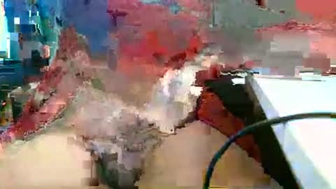 Snapshot of rocco1962 chatting on 1, 3, 2026 Rocco aka DaddyRoc online show from 1, 3, 2026