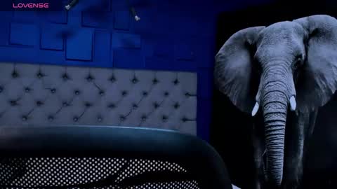 Snapshot of rocco_santos chatting on 14, 9, 2025 rocco_santos online show from 14, 9, 2025