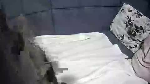 Snapshot of roccosan chatting on 4, 10, 2025 roccosan online show from 4, 10, 2025