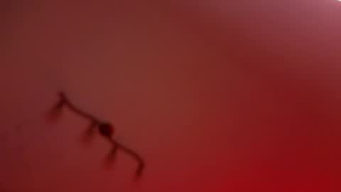 rochelle_dolly online show from 10, 4, 2026