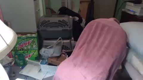 rocky082288 online show from 25, 11, 2025