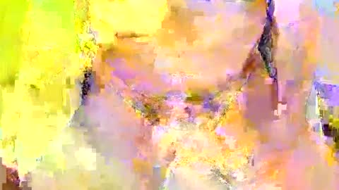 Rod online show from 3, 10, 2025