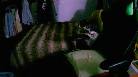 roktero 90 online show from 16, 12, 2025