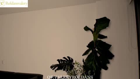 Snapshot of roldansvalery chatting on 5, 2, 2025 Valery Roldans online show from 5, 2, 2025