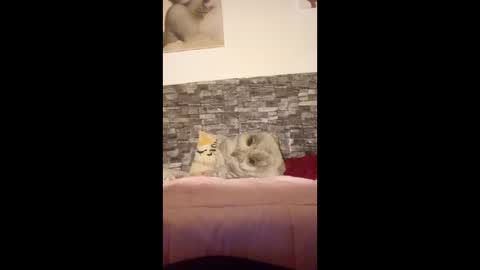 romylachienne online show from 18, 1, 2026