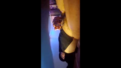 ronnieditzy online show from 9, 3, 2026