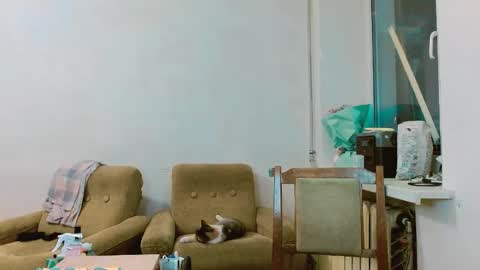 Snapshot of rosa843850 chatting on 28, 2, 2025 rosa843850 online show from 28, 2, 2025