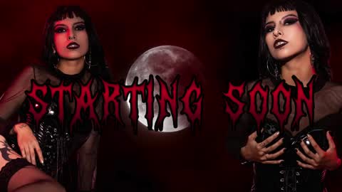 Ally online show from 8, 4, 2026