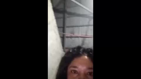 rose_marie2025 online show from 5, 2, 2026