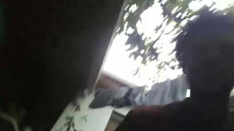 roseandjamesworld online show from 22, 3, 2026