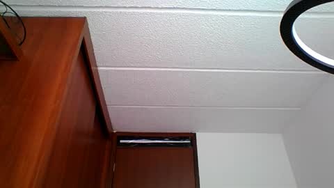 Snapshot of rossanalionheart chatting on 26, 3, 2026 Rossana online show from 26, 3, 2026