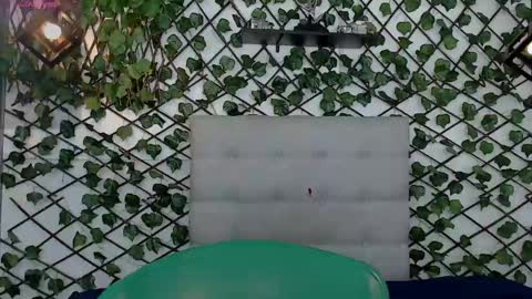 Rous online show from 8, 2, 2025