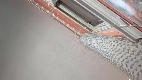 rraineonme online show from 12, 1, 2026