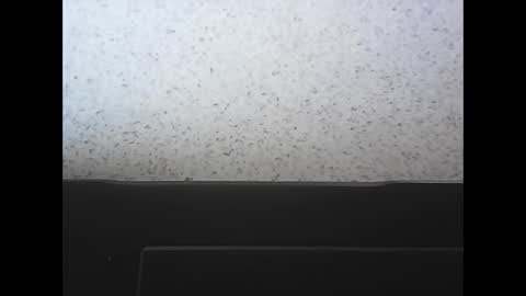 rubixman online show from 25, 4, 2026