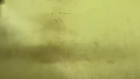 Rupali online show from 24, 3, 2026