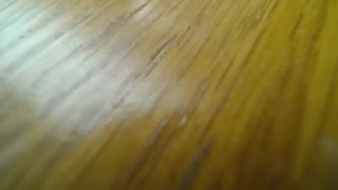 rustic69 online show from 24, 2, 2025