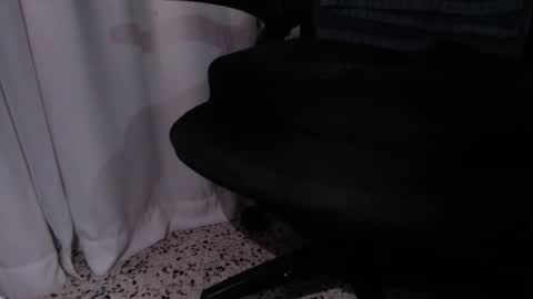 rx7900xtx online show from 4, 12, 2025