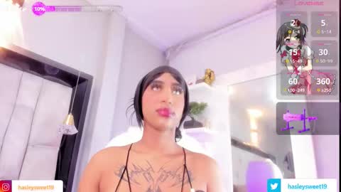  Hasley  online show from 9, 2, 2026