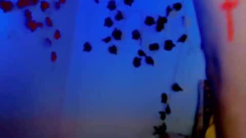 SABRI online show from 11, 3, 2025