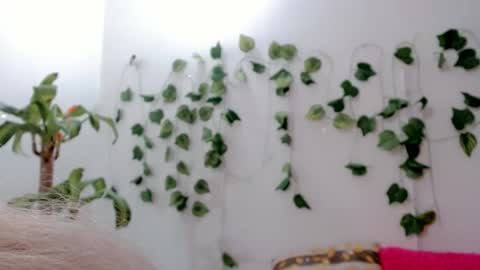 SABRI online show from 25, 9, 2025