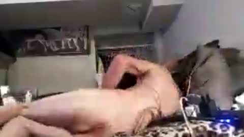 sadshadowdood online show from 17, 6, 2026