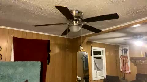 PupTwink online show from 10, 10, 2025