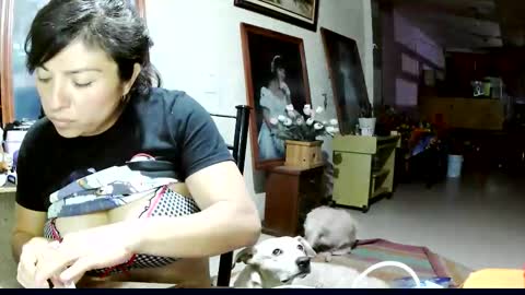 ruby  chocoholic cakeholic coffeeholic cookieholic online show from 8, 11, 2025