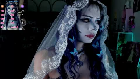    online show from 1, 3, 2026