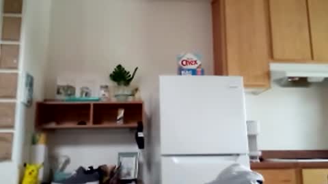 salis1981 online show from 9, 2, 2026