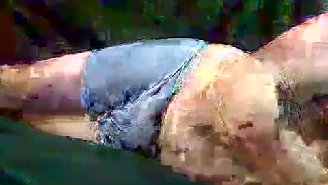 sam5554401727 online show from 10, 11, 2025