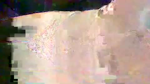 Snapshot of sam5554401727 chatting on 25, 2, 2026 sam5554401727 online show from 25, 2, 2026