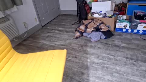 Snapshot of samboiamtho chatting on 3, 1, 2025 samboiamtho online show from 3, 1, 2025