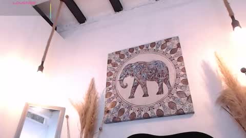 Sammy  online show from 1, 2, 2026