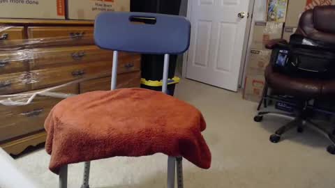 Sammy online show from 3, 11, 2025