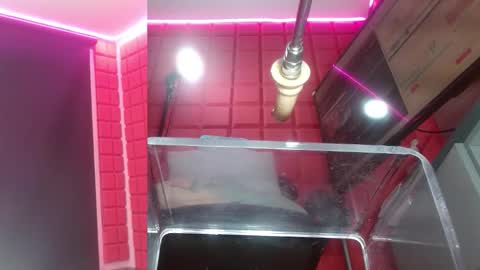 SAMMY online show from 16, 2, 2026