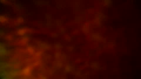 samueltal online show from 19, 9, 2025