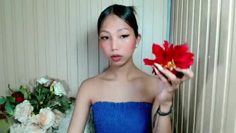 sandra online show from 28, 6, 2026