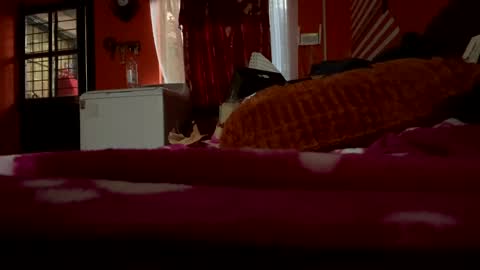 sans_976802 online show from 21, 2, 2025